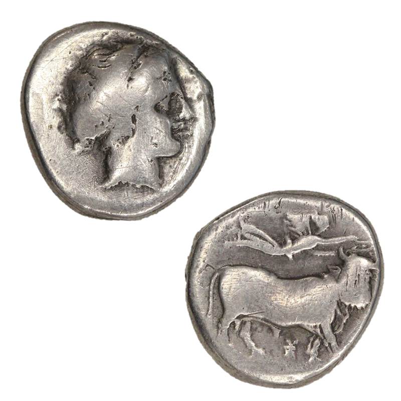 Italy, Campania, Neapolis 320-300BC Silver Nomos/Stater