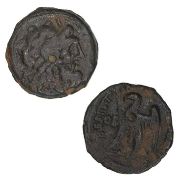 Egypt, Kingdom of, Ptolemy VIII, 145-116BC Bronze nVF