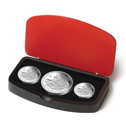 2010 Year of the Tiger 3 Coin Silver Proof Set