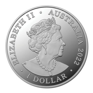 $1 2022 Dusky Dolphin 1oz Silver UNC