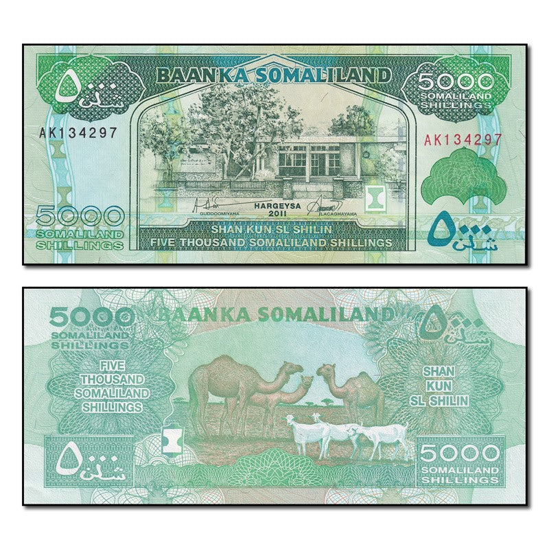 Somaliland 2011 5000 Shillings P.21 CFU