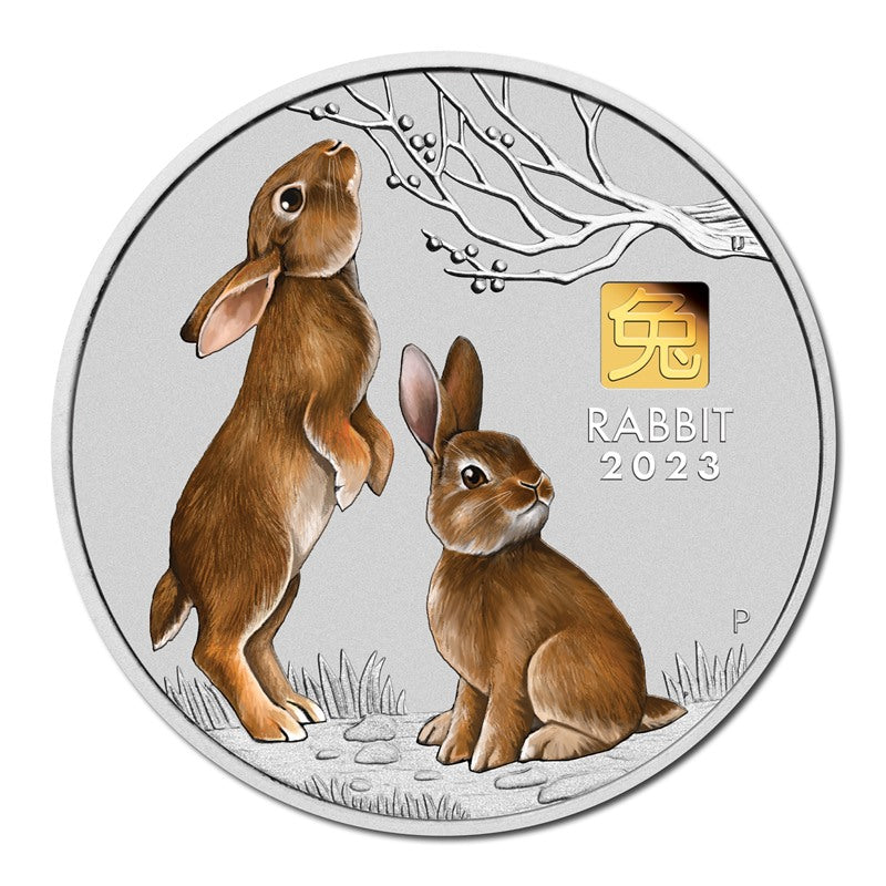 2023 Year of the Rabbit 1 Kilo Silver Coin with Gold Privy Mark