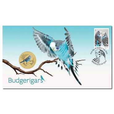 PNC 2022 Budgerigars