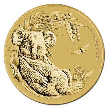 PNC 2011 Bush Babies - Koala