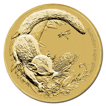 PNC 2011 Bush Babies - Sugar Glider