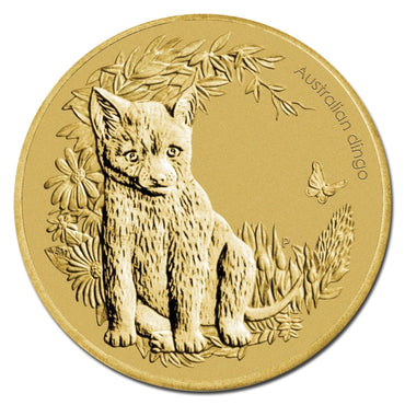 PNC 2011 Bush Babies - Dingo