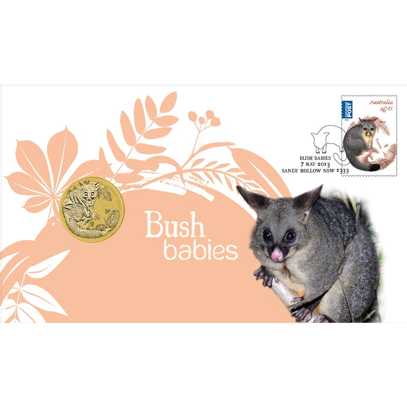 PNC 2013 Bush Babies -  Possum