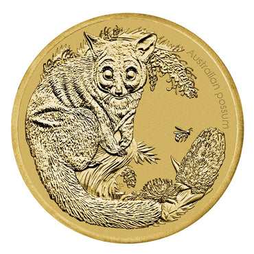 PNC 2013 Bush Babies -  Possum