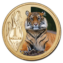 $1 2012 Zoo Animals - Sumatran Tiger Al-Bronze UNC