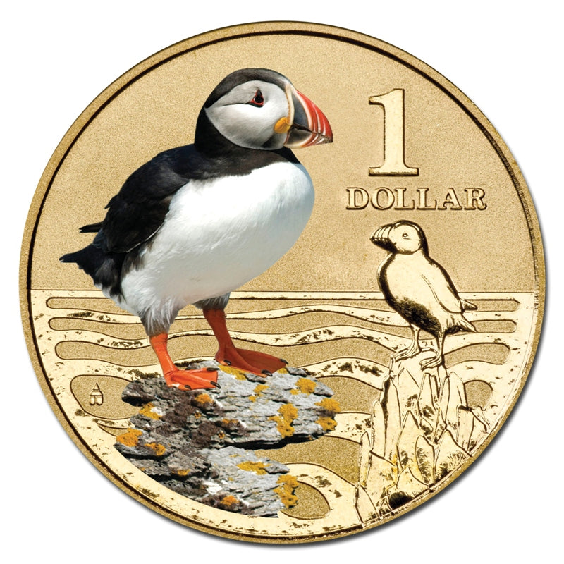$1 2013 Polar Animals - Atlantic Puffin Coloured Al-Bronze UNC