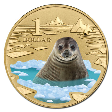 $1 2013 Polar Animals - Weddell Seal Coloured Al-Bronze UNC