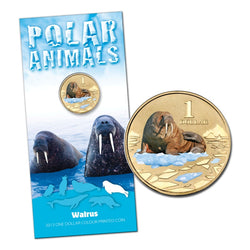 $1 2013 Polar Animals - Walrus Coloured Al-Bronze UNC