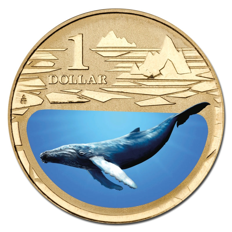$1 2013 Polar Animals - Humpback Whale Coloured Al-Bronze UNC