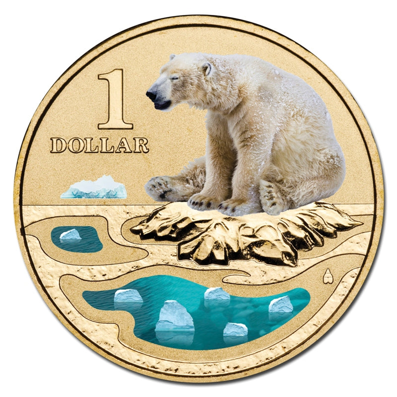 $1 2013 Polar Animals - Polar Bear Coloured Al-Bronze UNC