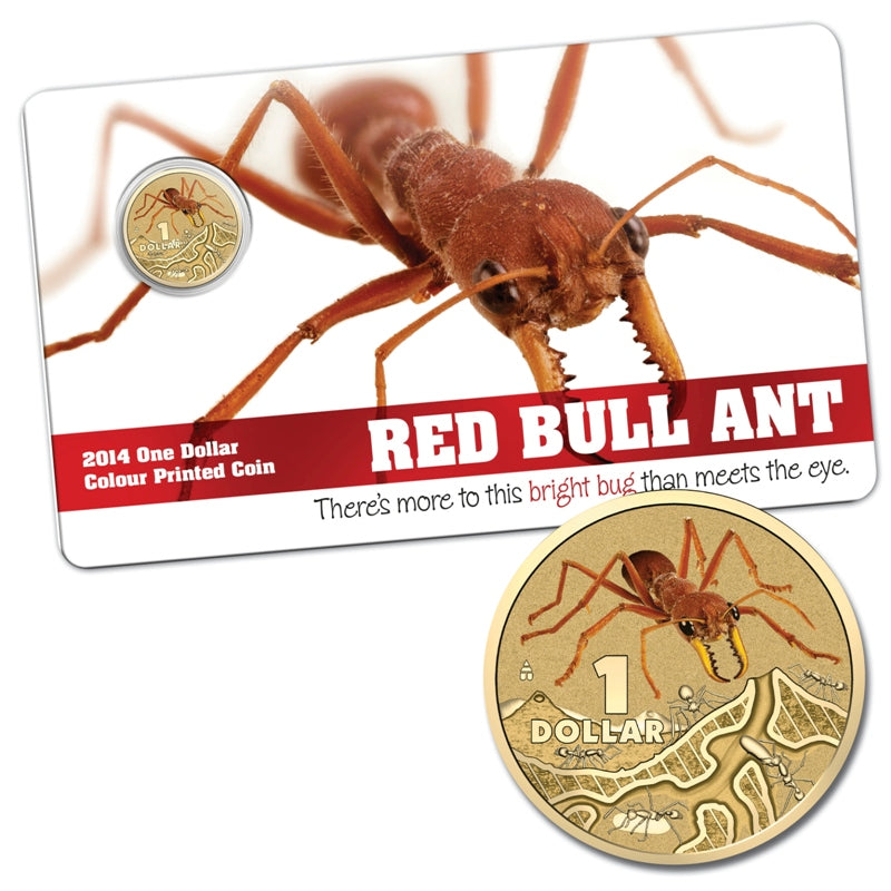 $1 2014 Bright Bugs - Red Bull Ant Al-Bronze UNC