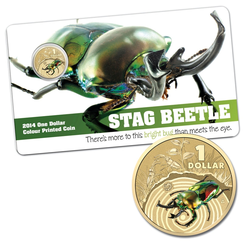 $1 2014 Bright Bugs - Stag Beetle Al-Bronze UNC