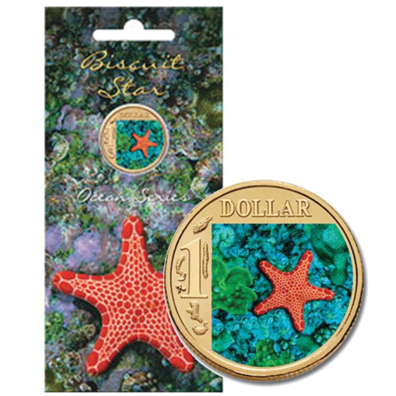 $1 2007 Ocean Series - Biscuit Star Fish Al/Bronze UNC