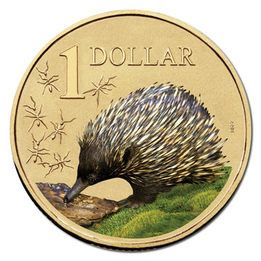 $1 2008 Land Series - Echidna Al/Bronze UNC