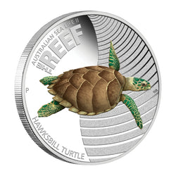 2011 Sealife Series II - Turtle 1/2oz Silver Proof
