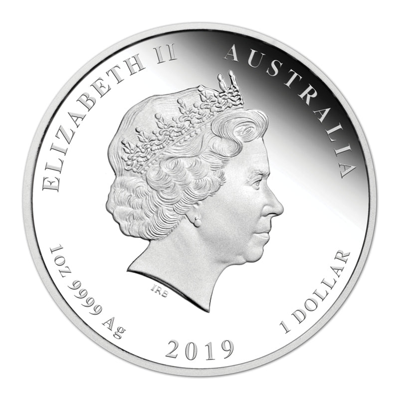 2019 Year of the Pig 1oz Silver Coloured Proof