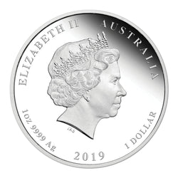 2019 Year of the Pig 1oz Silver Coloured Proof