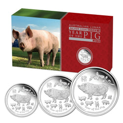 2019 Year of the Pig 3 Coin Silver Proof Set | 2019 Year of the Pig 3 Coin Silver Proof Set CASE