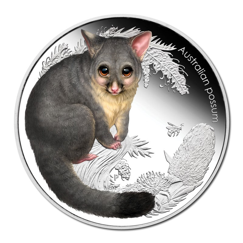 2013 Bush Babies II - Possum 1/2oz Silver Proof
