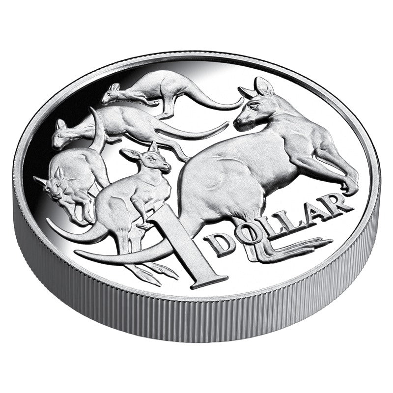 $1 2014 High Relief Fine Silver Proof