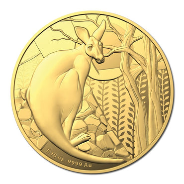 $10 2022 Kangaroo 1/10oz Gold Proof